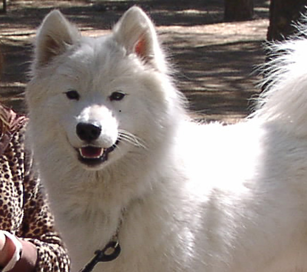 White Magic and Landmark's Madison White Magic and Landmark's Madison