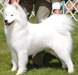 White Magic & Landmark's Madison